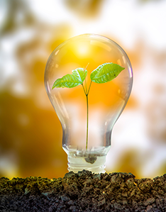 Sobre la tierra, hay una bombilla de luz. Dentro, tiene el brote de un árbol. El fondo muestra una vista borrosa de vegetación.