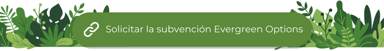 Hay un botón verde que dice “Solicitar la Beca de Opciones Ecológicas (Evergreen Options Grant)” en la parte de arriba de un cartel ilustrado de follaje.
