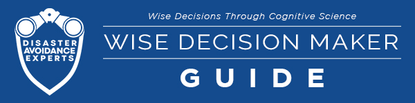 Disaster Avoidance Experts website