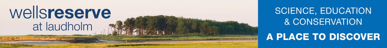 banner ad for the wells reserve.