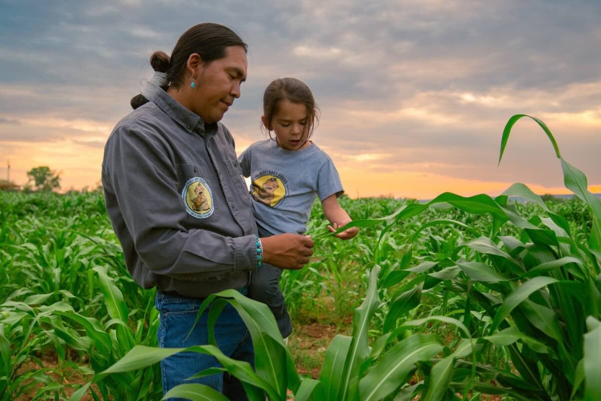 Zachariah Ben, co-founder and owner of Bidii Baby Foods, with his son, Yabito, in his New Mexico corn field. 