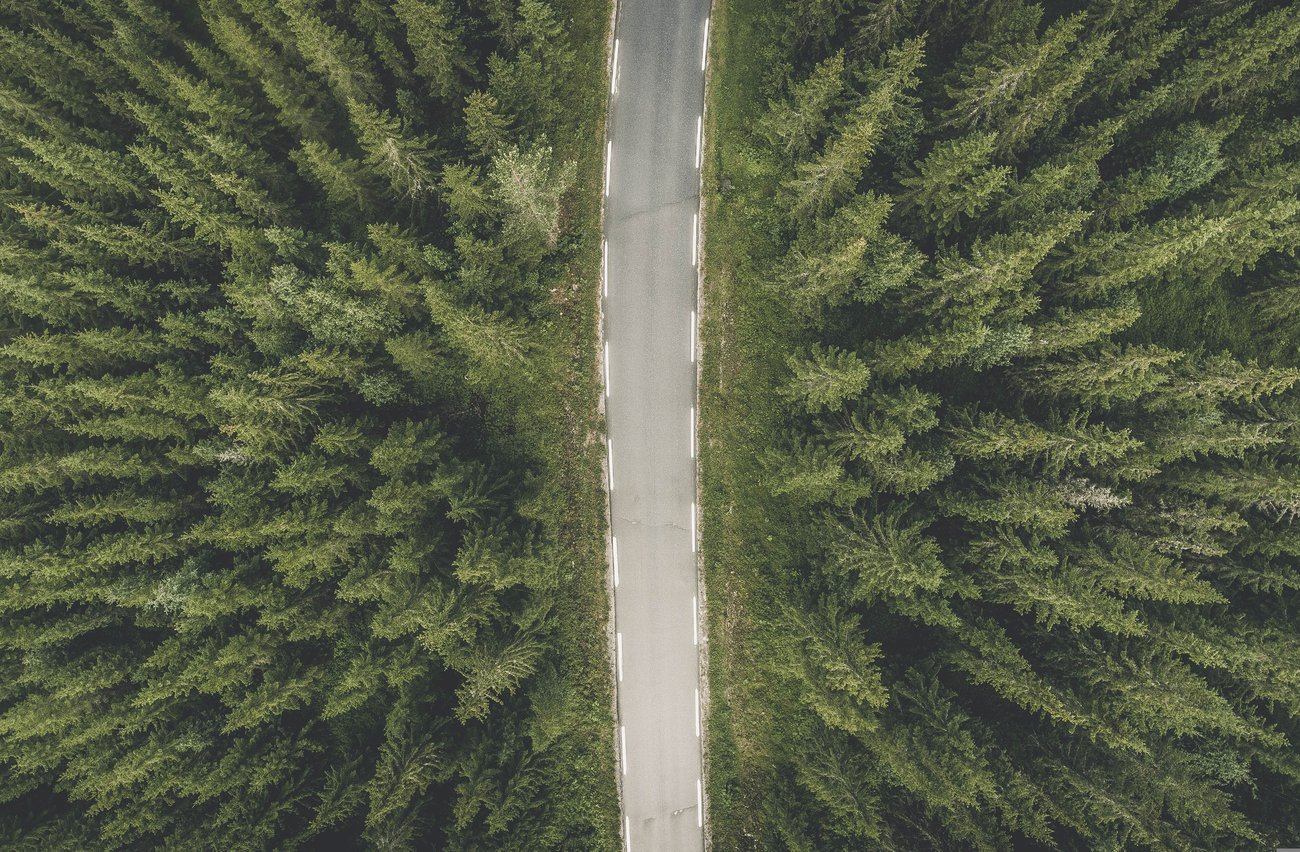 Foto einer Straße, die einen Nadelwald von unten nach oben durchschneidet