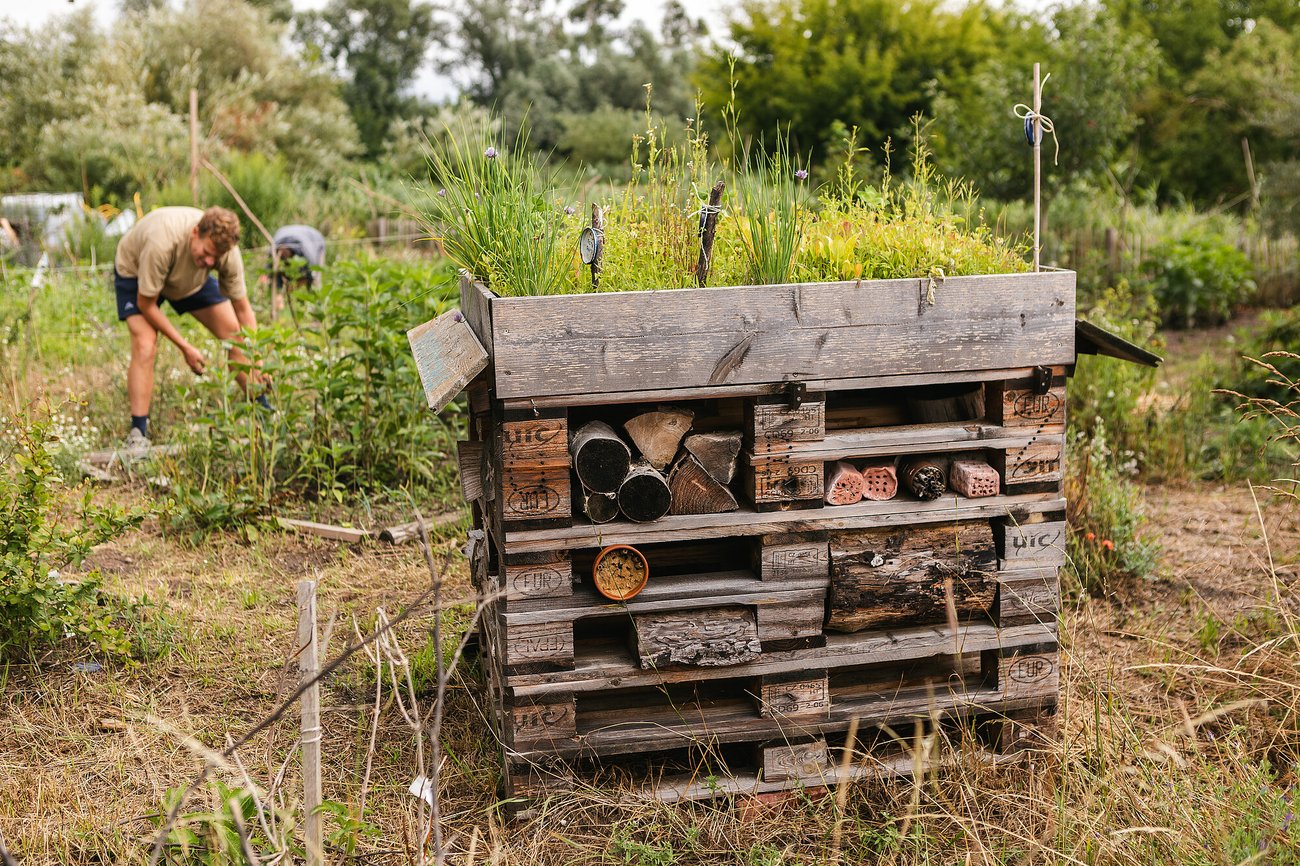 Zu sehen ist ein Insektenhochhaus, aus Paletten gebaut, die Lücken wurden mit Holzscheiten, Röhren und gelöcherten Ziegelsteinen gefüllt. Oben ist das Insektenhochhaus bewachsen, es steht auf trockenem Rasen, im Hintergrund sind Stauden in Beeten zu sehen und zwei Menschen, die vornübergebeugt in den Beeten arbeiten.