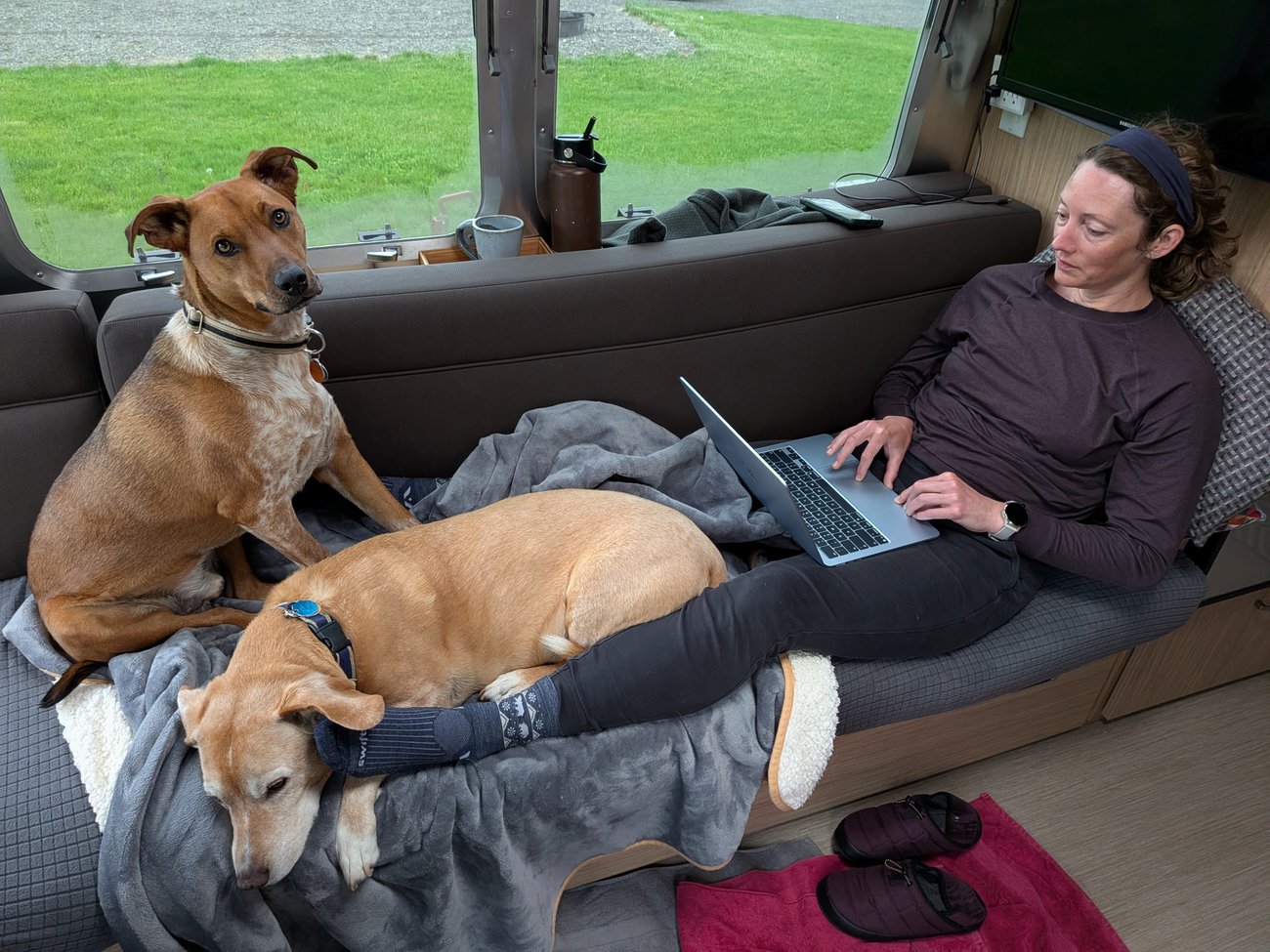 Working remotely from the Airstream couch, with two dogs sharing the space and making themselves completely at home.