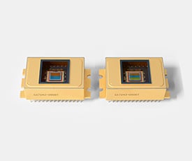 2D InGaAs area image sensors G1724x