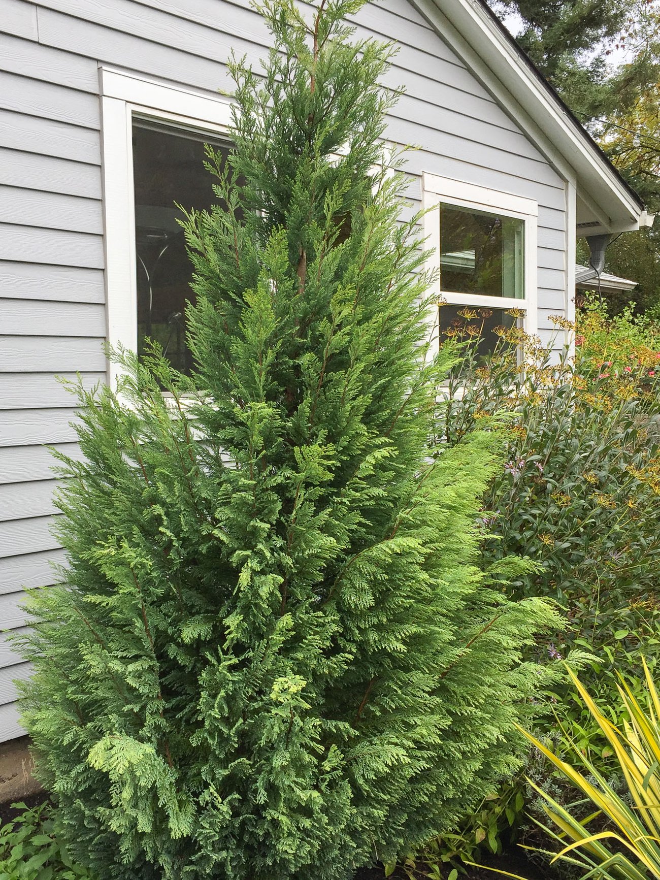 Enjoy Year-Round Beauty From 4 Season Foliage and Spring to Fall Flowers