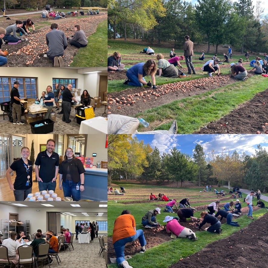Collage of people planting onions outdoors and gathering indoors