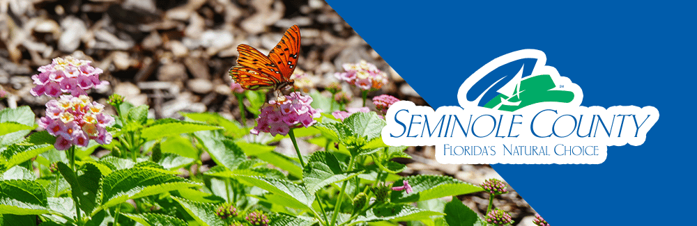 Seminole County Logo with a photo of a monarch butterfly and pink flowers