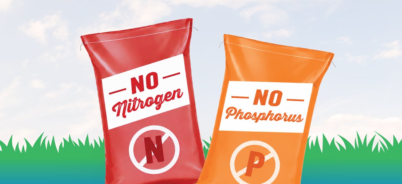 graphic of red and orange bags of fertilizer with labels: no nitrogen and no phosphorus graphic of red and orange bags of fertilizer with labels: no nitrogen and no phosphorus