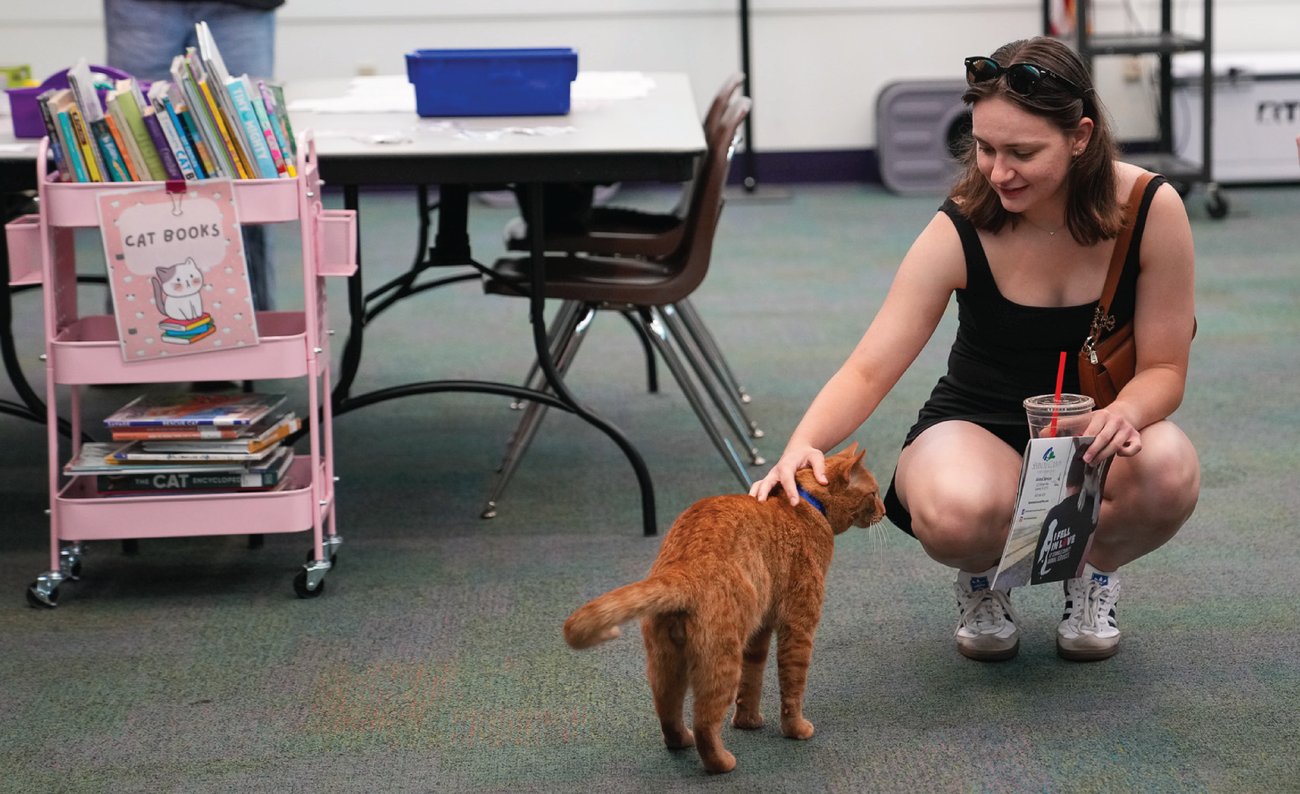 woman holding drink and petting cat next to stack of library books woman holding drink and petting cat next to stack of library books