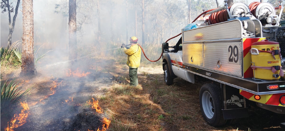 firefighter in wooded area using hose to distinguish brush fire firefighter in wooded area using hose to distinguish brush fire