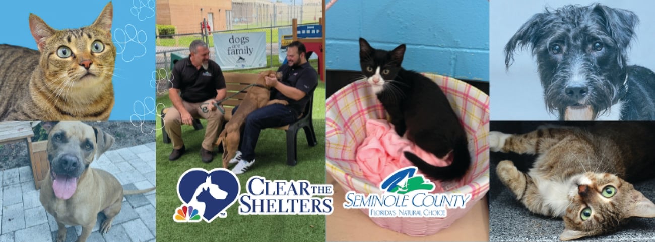 collage of animals with staff and news crew collage of animals with staff and news crew