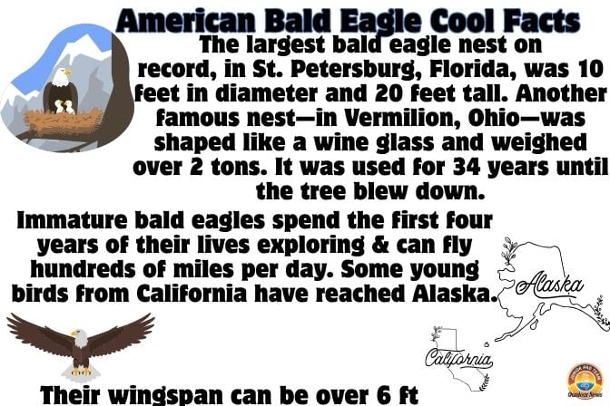 Facts from the National Park Service