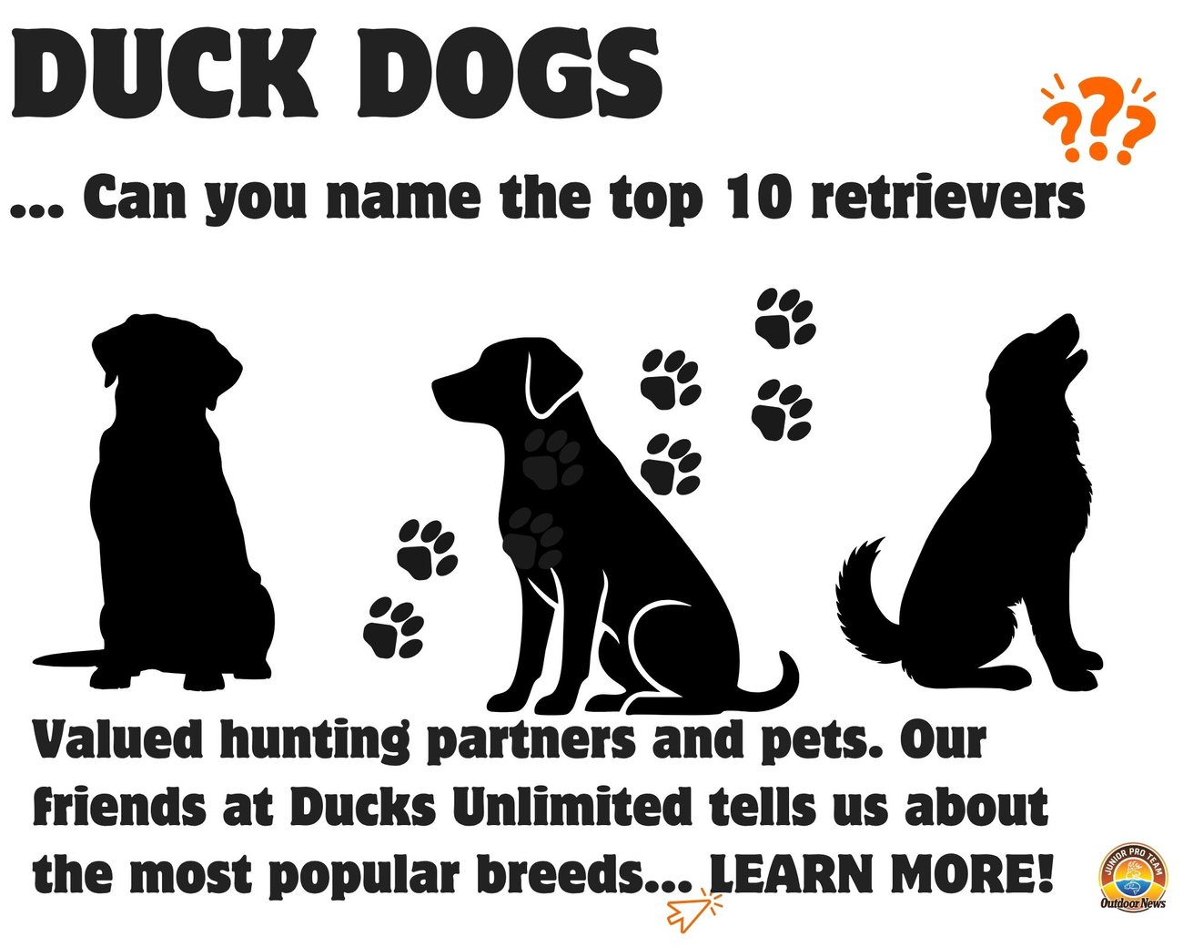Sir Dudley Marjoribanks devloped the Golden Retriever what are the other top retrievers that waterfowl hunters prefer? 