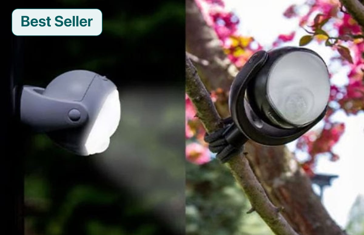 Grommet Best of the Week