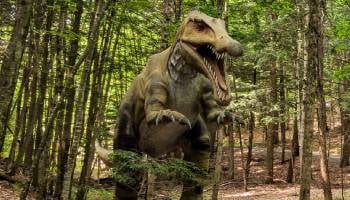 dinosaur