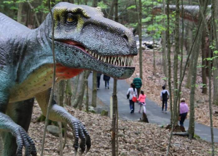 dino roar valley at lake george expedition park