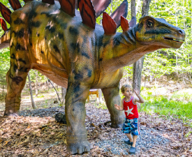 a kid by a dinosaur a kid by a dinosaur
