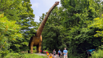 people walking by life sized dinosaur displays outdoors people walking by life sized dinosaur displays outdoors