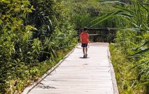kid on walkway in wetlands area of hovey pond park kid on walkway in wetlands area of hovey pond park