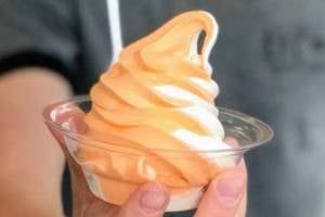 orange cream ice cream orange cream ice cream