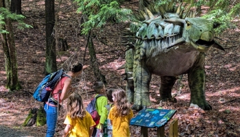 kids and adult looking at dino display outdoors kids and adult looking at dino display outdoors