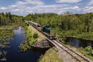 scenic view of a green train scenic view of a green train