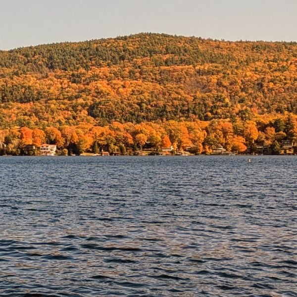fall foliage by lake