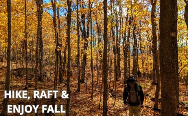 man hikes in woods in fall