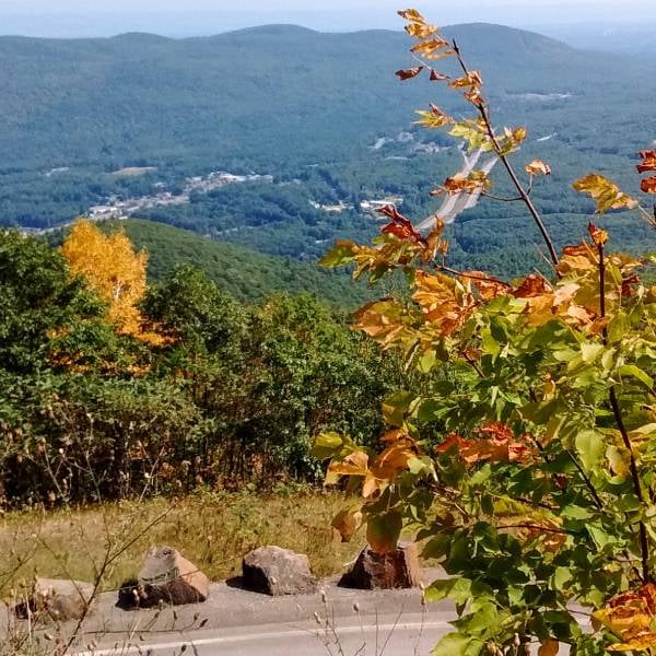 view from prospect mountain