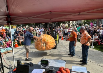 a giant pumpkin weigh in event a giant pumpkin weigh in event