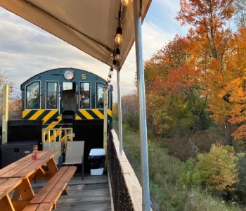 outside train with fall colors on the trees
