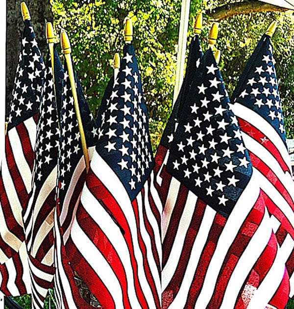 Stars & Stripes