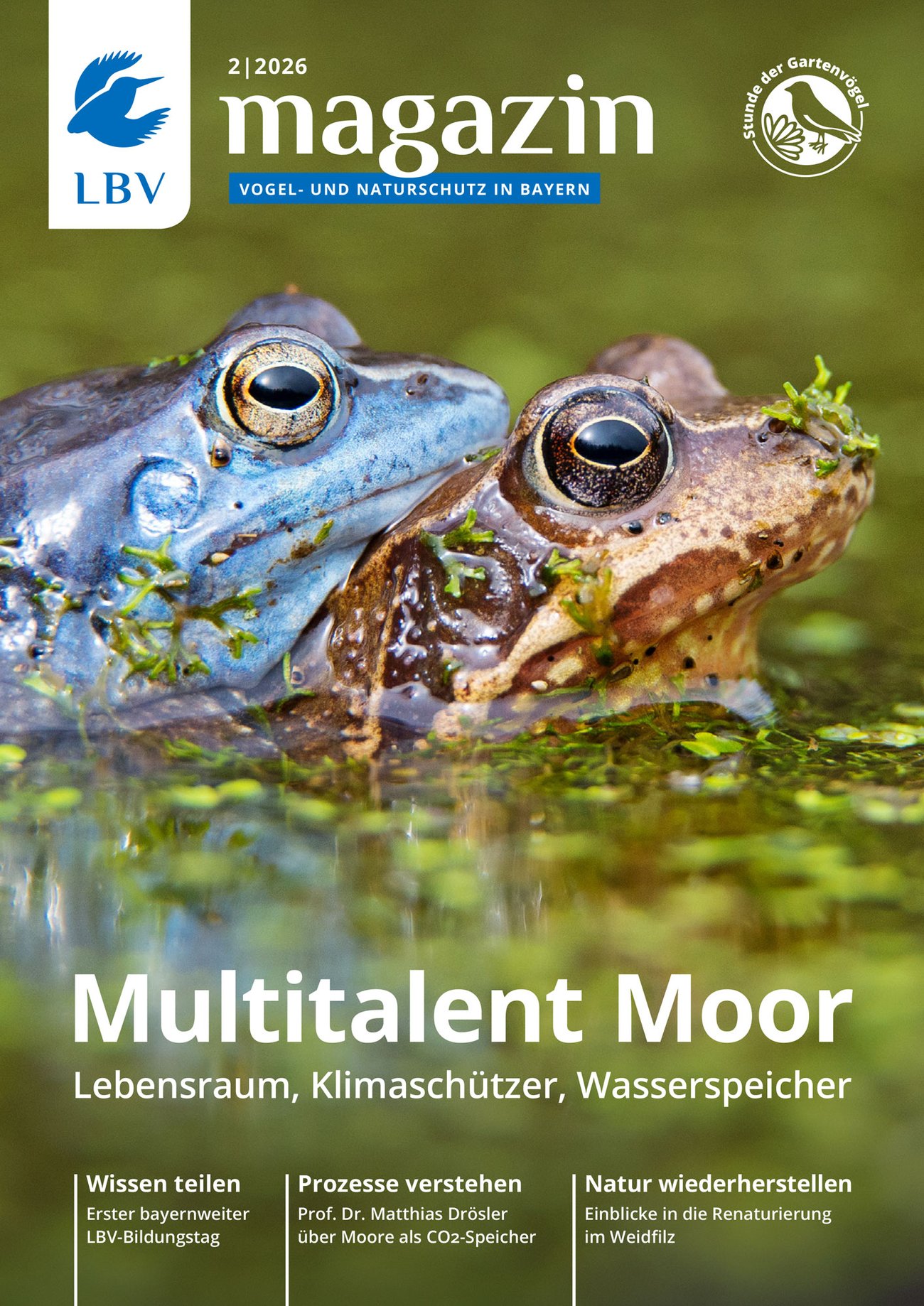 Cover des LBV-Magazins