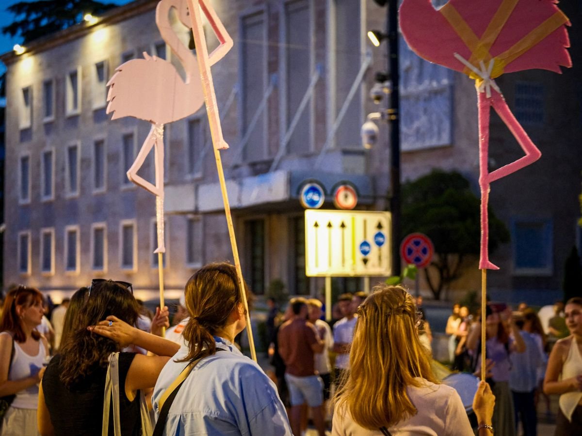 Flamingoproteste in Albanien