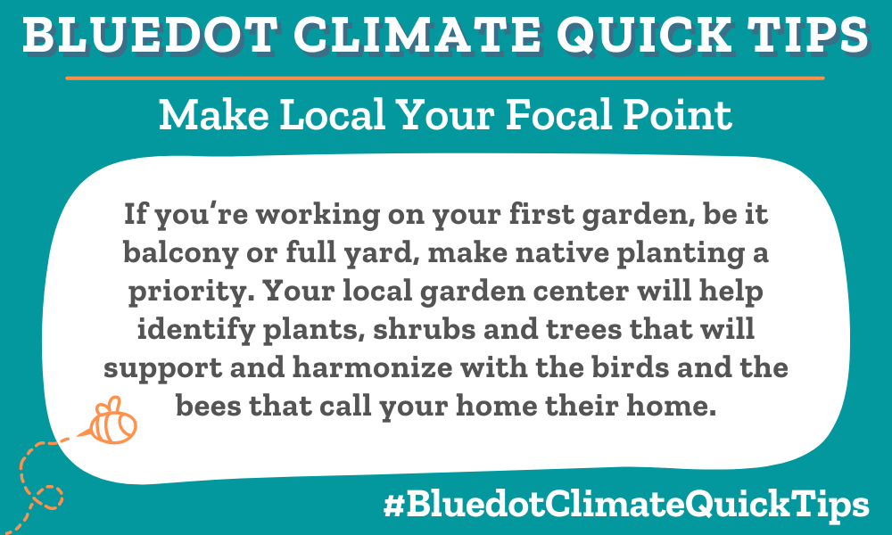 Climate Quick Tips