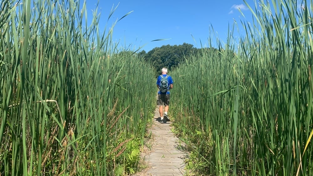 BOSTON-TRAIL-Cutler Park Reservation