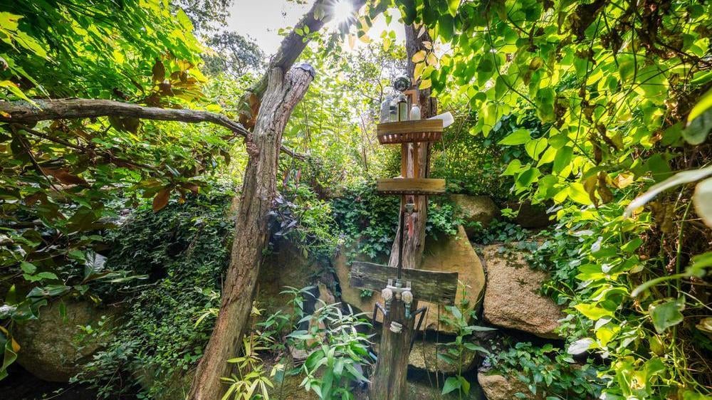 outdoor-shower-botanical-experience