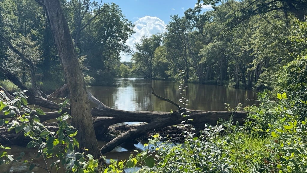Caption: Lovely view of the Des Plaines River at Ryerson Woods. Credit: Patty Wetli / WTTW News