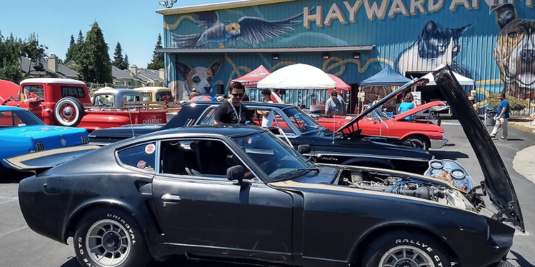 Photo of a variety of cars parked outside of the Hayward Animal Shelter.