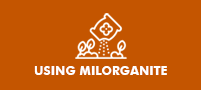Using Milorganite Button