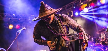 A costumed musician plays accordion under colorful stage lights