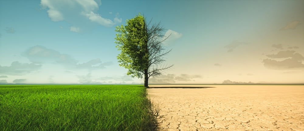 Klimaatverandering