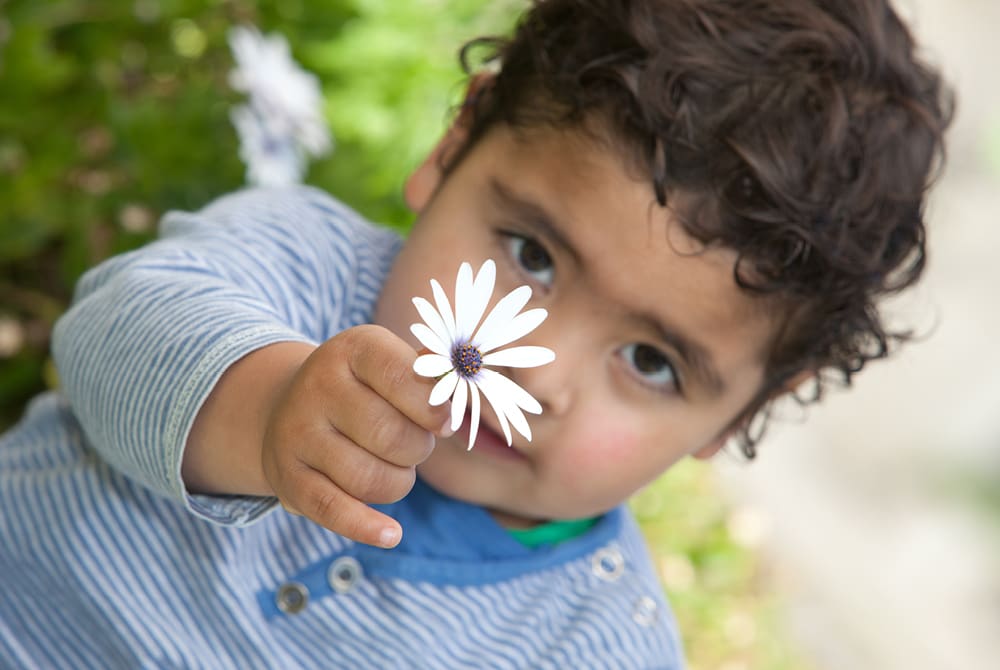 Bringing the Three H’s Into Preschool Life Through Outdoor Opportunities