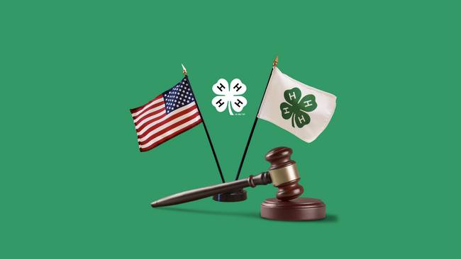 american and 4-H flag and gavel