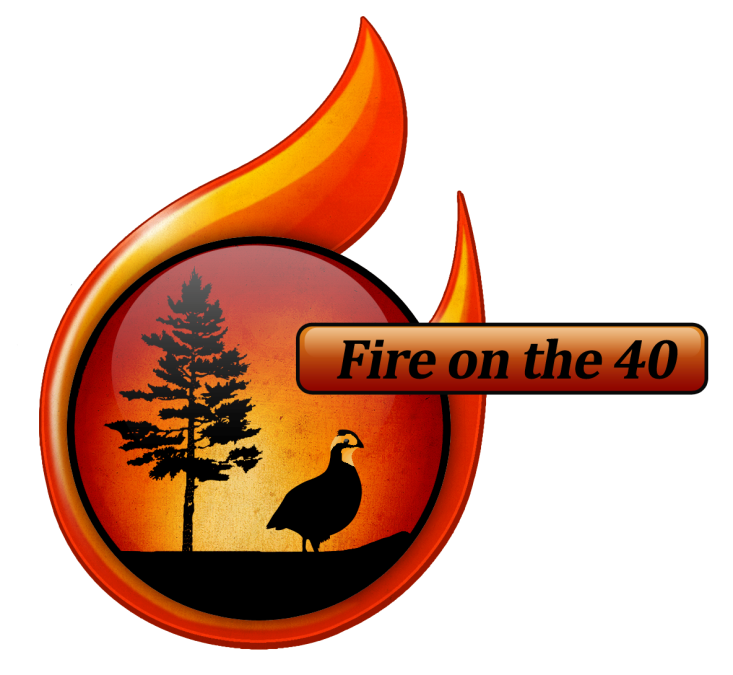 The official logo for the "Fire on the Forty" program, featuring wildlife silhouettes against a sunset background enclosed in a flame graphic. The Flame Emblem: The entire logo is shaped like a stylized, orange-and-red gas flame wrapping around a central circle. The main curve of the flame swoops up prominently at the top, with a smaller secondary flame point on the right. The Graphic Circle: Inside the circular portion of the emblem, a glossy sunset scene fades from a deep red at the top to a warm yellow at the bottom. Silhouetted in solid black against this sunset are a single tall pine tree on the left and a northern bobwhite quail standing on the ground to the right. The Text Banner: A horizontal, rounded rectangular banner with
an orange gradient stretches out from the right side of the circle. Inside the banner, the program's name, "Fire on the Forty," is written in a bold, black serif font. The entire logo is set against a solid black background.