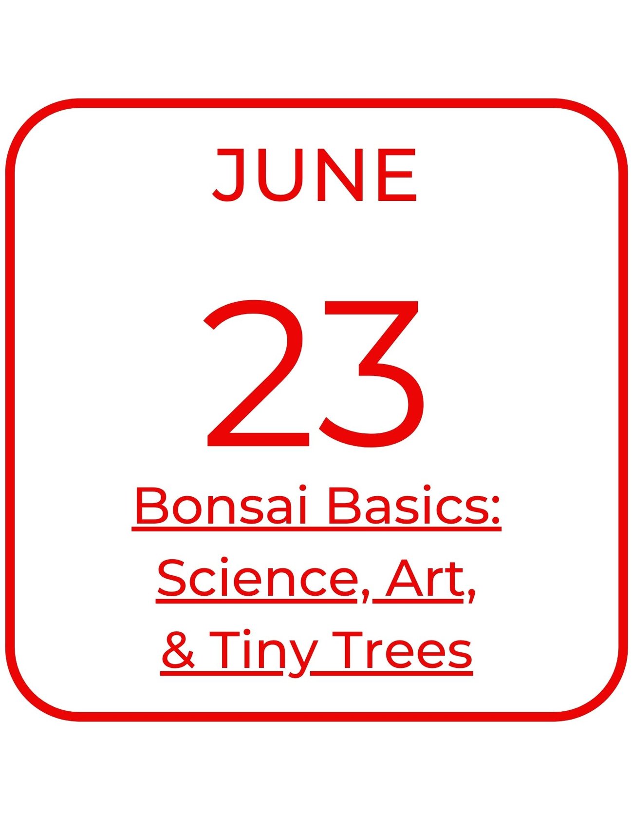 June 23 Bonsai Basics