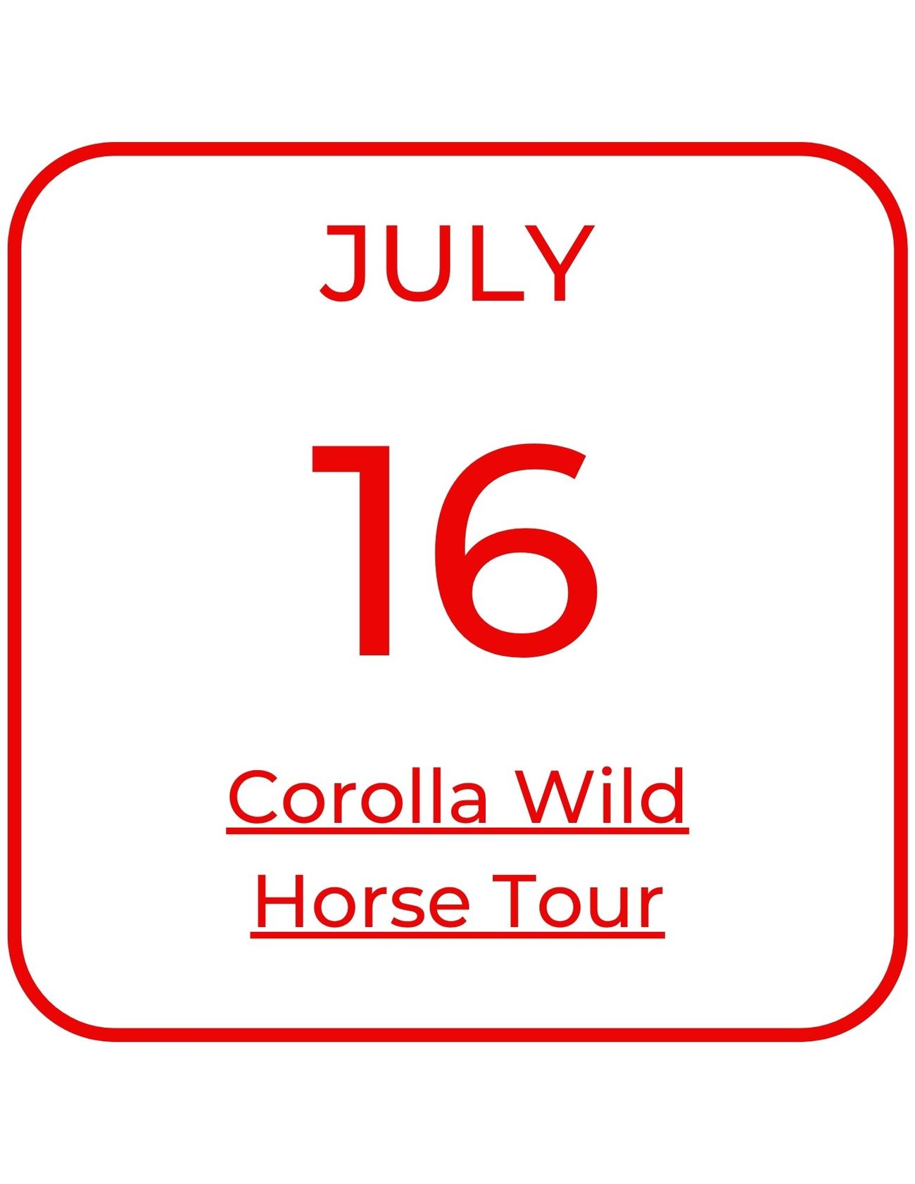July 16 Corolla Wild Horse Tour