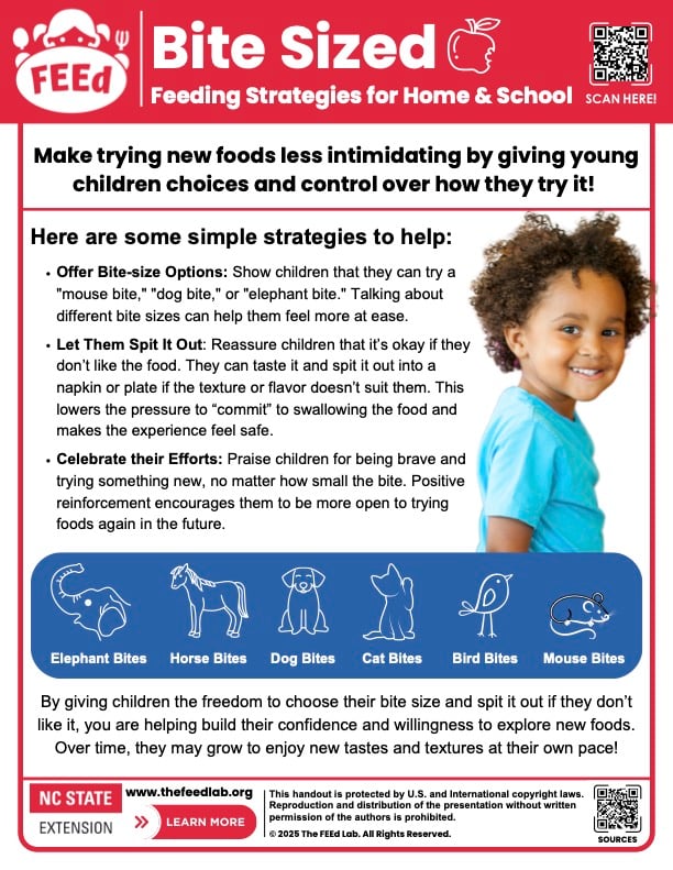A one-page educational handout titled 'Bite Sized: Feeding Strategies for Home & School,' produced by NC State Extension's FEEd Lab. The handout encourages caregivers and educators to make trying new foods less intimidating by giving children choices and control. It outlines three strategies: offering bite-size options using fun animal comparisons, allowing children to spit out food they don't like, and celebrating their efforts with positive reinforcement. A blue illustrated banner displays six bite sizes from largest to smallest: Elephant, Horse, Dog, Cat, Bird, and Mouse. The handout features a photo of a smiling young child and directs readers to www.thefeedlab.org for more information.