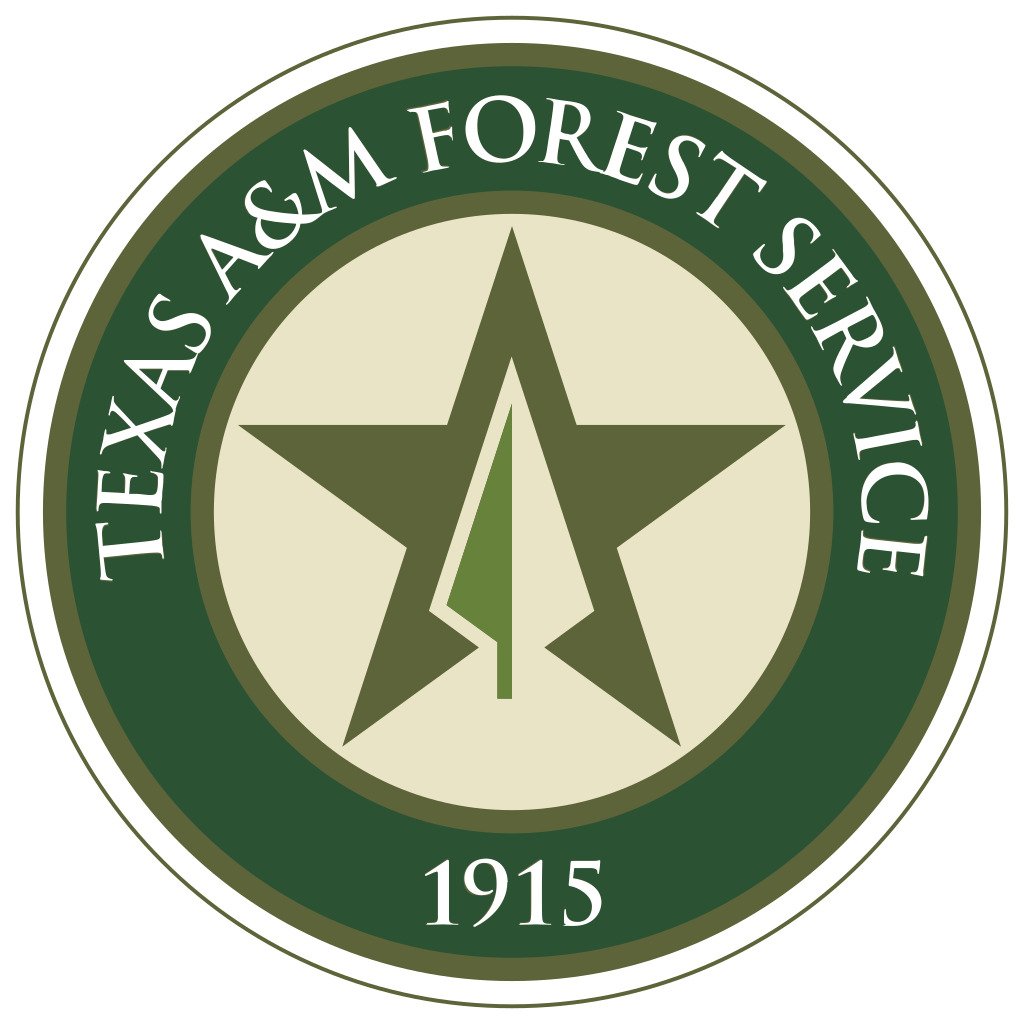 The official circular logo patch for the Texas A&M Forest Service. It features a dark green outer ring enclosing a light beige center. White text along the upper half of the green ring reads "TEXAS A&M FOREST SERVICE," and the year "1915" is written at the bottom. In the center, a large, dark green five-pointed star is overlaid with a stylized arrowhead icon split vertically into green and beige halves.